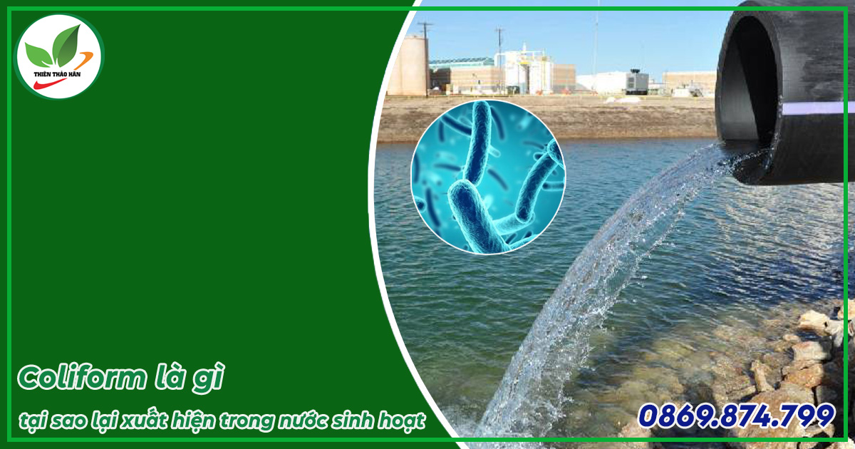 coliform trong nước thải sinh hoạt