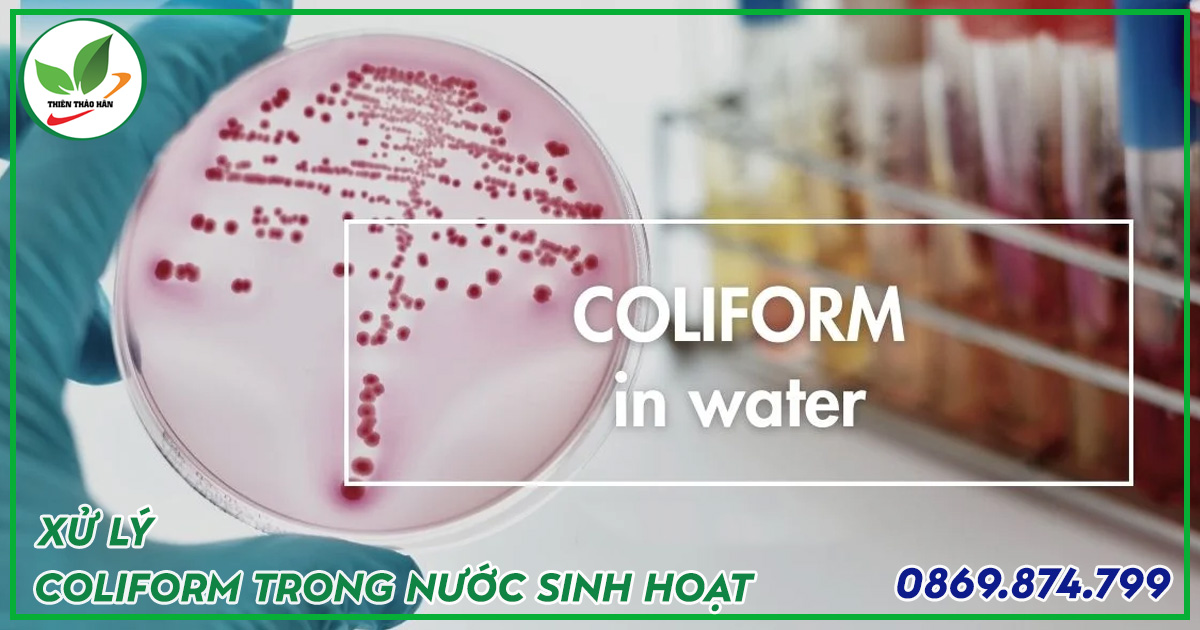 coliform trong nước thải sinh hoạt