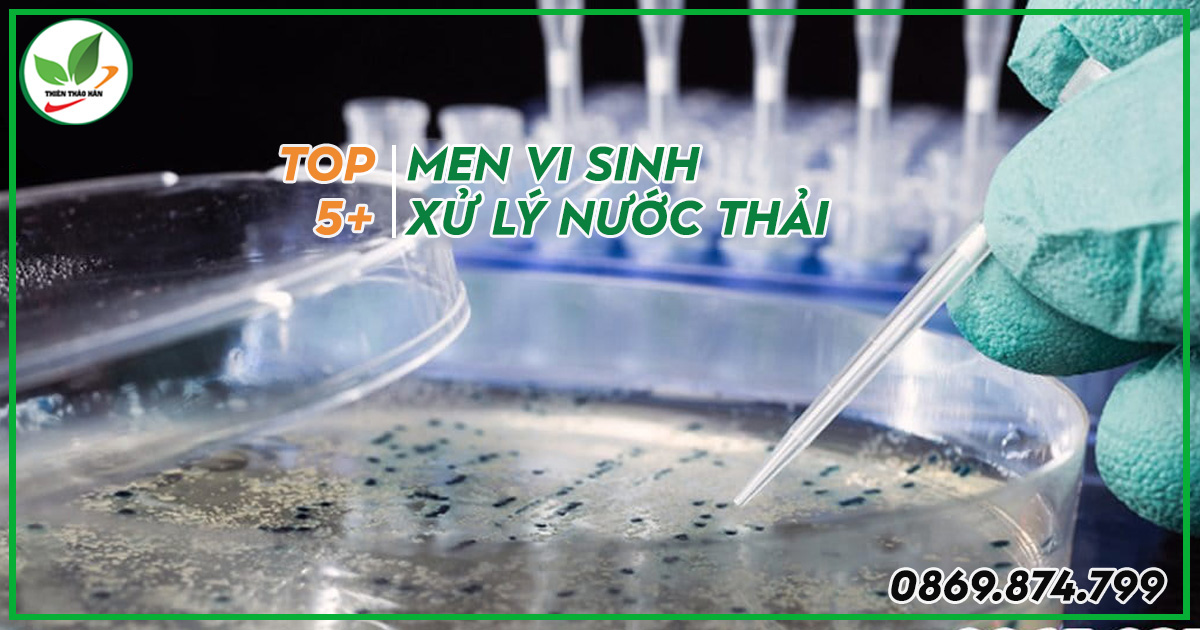 Men vi sinh xử lý nước thải tốt hiện nay