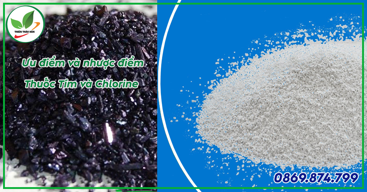 thuốc tím và chlorine có gì khác nhau
