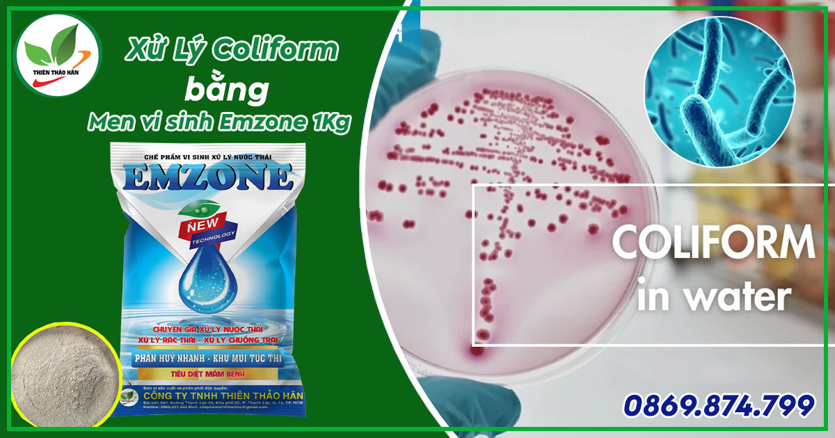 xử lý coliform trong nước