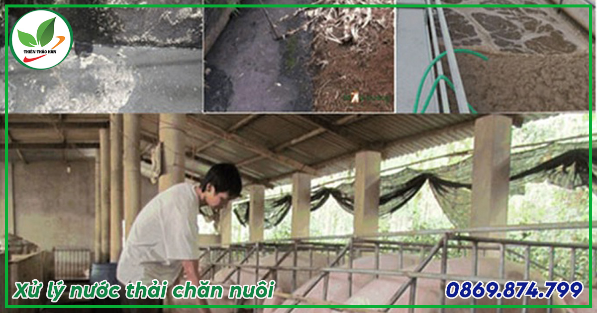 xử lý nước thải chăn nuôi