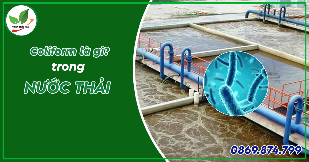coliform là gì? cách xử lý nước thải coliform