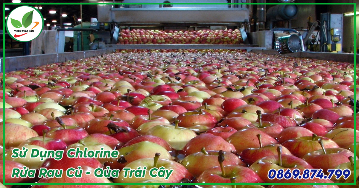 cách dùng chlorine khử trùng thực phẩm