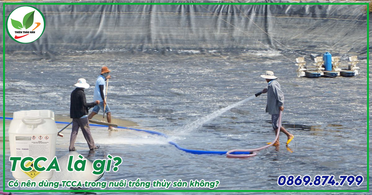 tcca trong nuôi trồng thủy sản