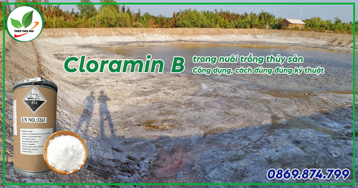 cloramin b trong nuôi trồng thủy sản