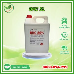 bkc 80