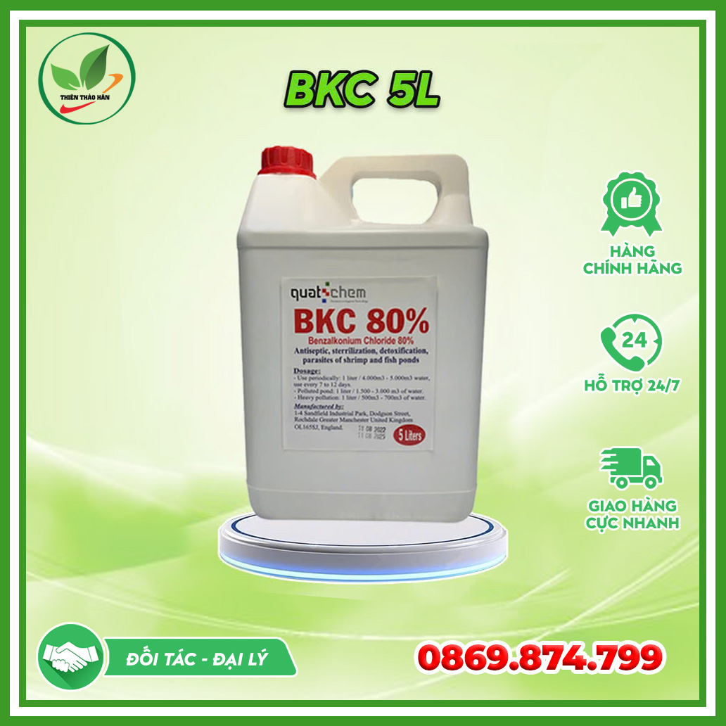 bkc 80