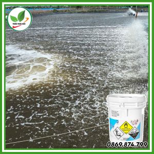 Hóa chất star chlon nankai cho ao nuôi tôm
