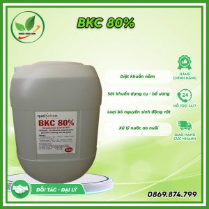 bkc 80 công dụng