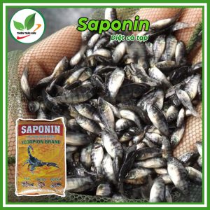 saponin diệt cá tạp