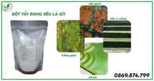 Bột tẩy rong rêu là gì?