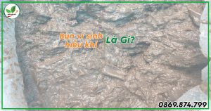 Bùn vi sinh hiếu khí là gì?