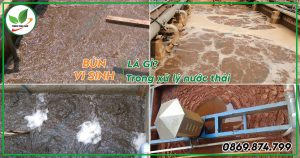 Bùn vi sinh trong xử lý nước thải