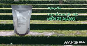 hướng dẫn cách tẩy rong rêu trên nền xi măng