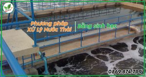 Cách xử lý nước thải bằng phương pháp sinh học