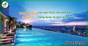 tcca viên là gì