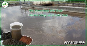 Bùn than hoạt tính là gì