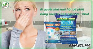 Hướng dẫn cách xử lý mùi hôi bể phốt