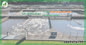 chỉ số tss là gì