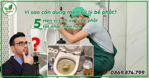 Men vi sinh xử lý bể phốt tốt nhất