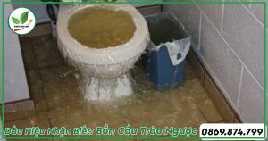 Dấu hiệu bồn cầu bị trào ngược