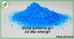 đồng sunfat có độc không