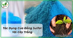 Tác dụng của đồng sunfat đối với cây trồng