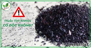 Thuốc tím có độc không