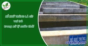 bể khử trùng trong xử lý nước thải
