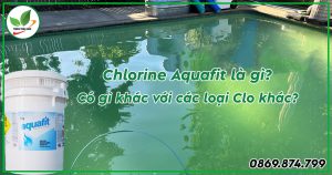 chlorine aquafit ấn độ