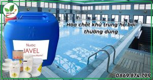 các loại hóa chất khử trùng nước hồ bơi