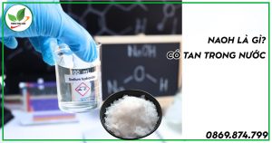 naoh xút vảy có tan trong nước không