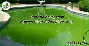 cách xử lý nước hồ bơi bị xanh