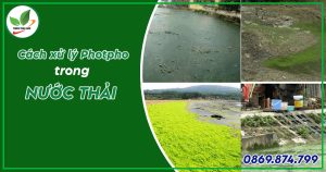 Photpho trong xử lý nước thải