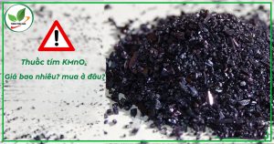 Thuốc tím kmn04 giá bao nhiêu tiền
