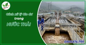 xử lý clo dư trong nước thải