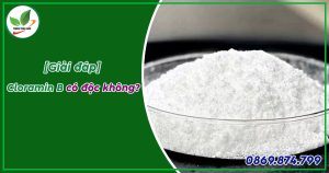 Cloramin B có độc không?