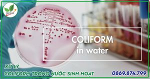 coliform trong nước thải sinh hoạt
