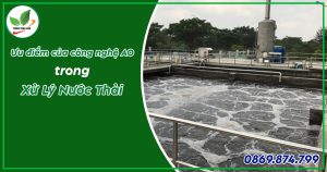 công nghệ ao trong xử lý nước thải