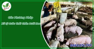phương pháp xử lý nước thải chăn nuôi heo