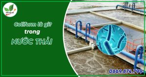 coliform là gì? cách xử lý nước thải coliform