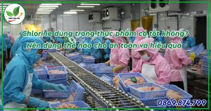 chlorine dùng trong thực phẩm