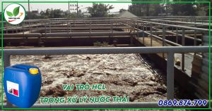 hcl trong xử lý nước thải